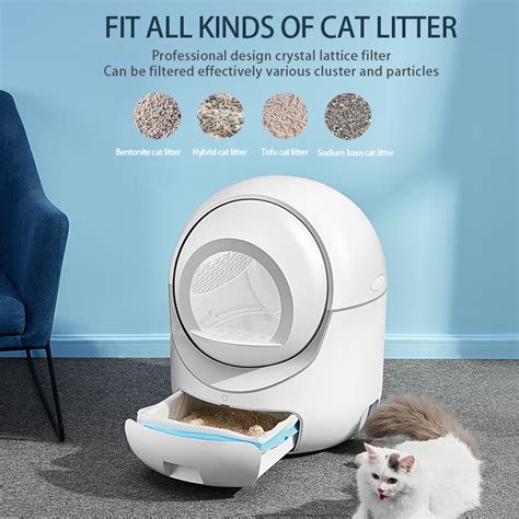 how to get cat used to electric litter box|disinfecting cat litter box.